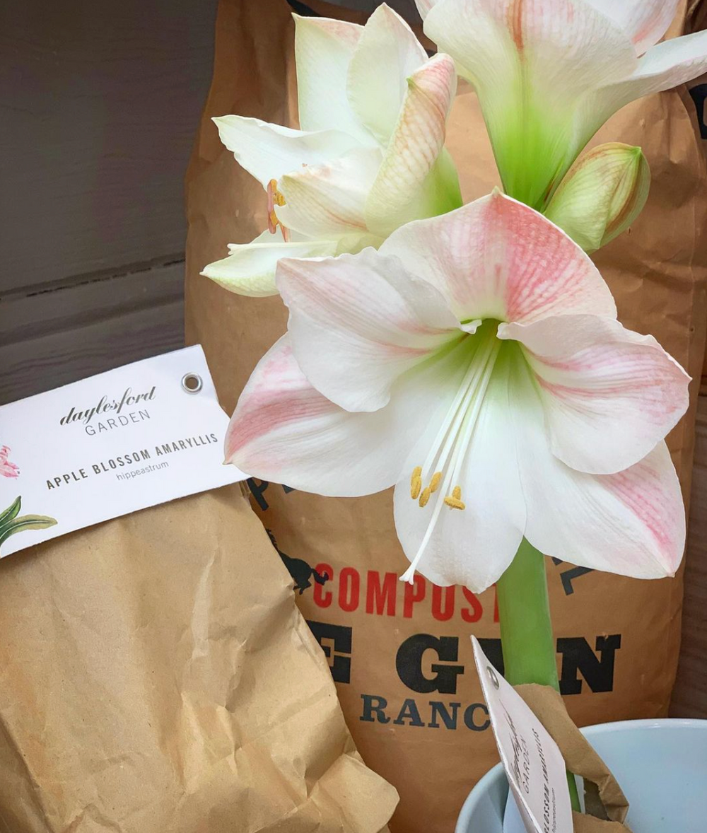 One Gun Super(ior) Soil Compost