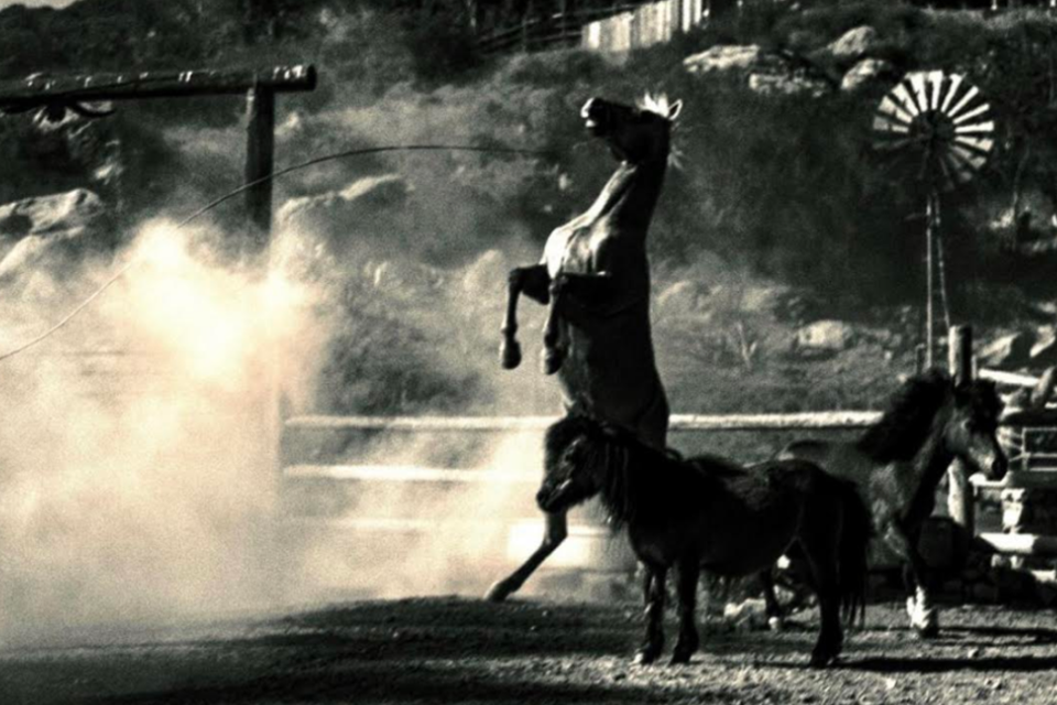 Locations – One Gun Ranch