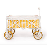 Beach Cart