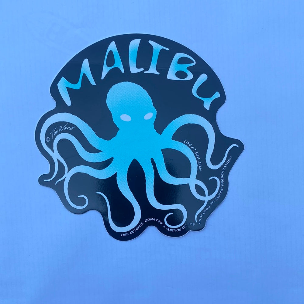 Tim Ward MALIBU Large  Stickers