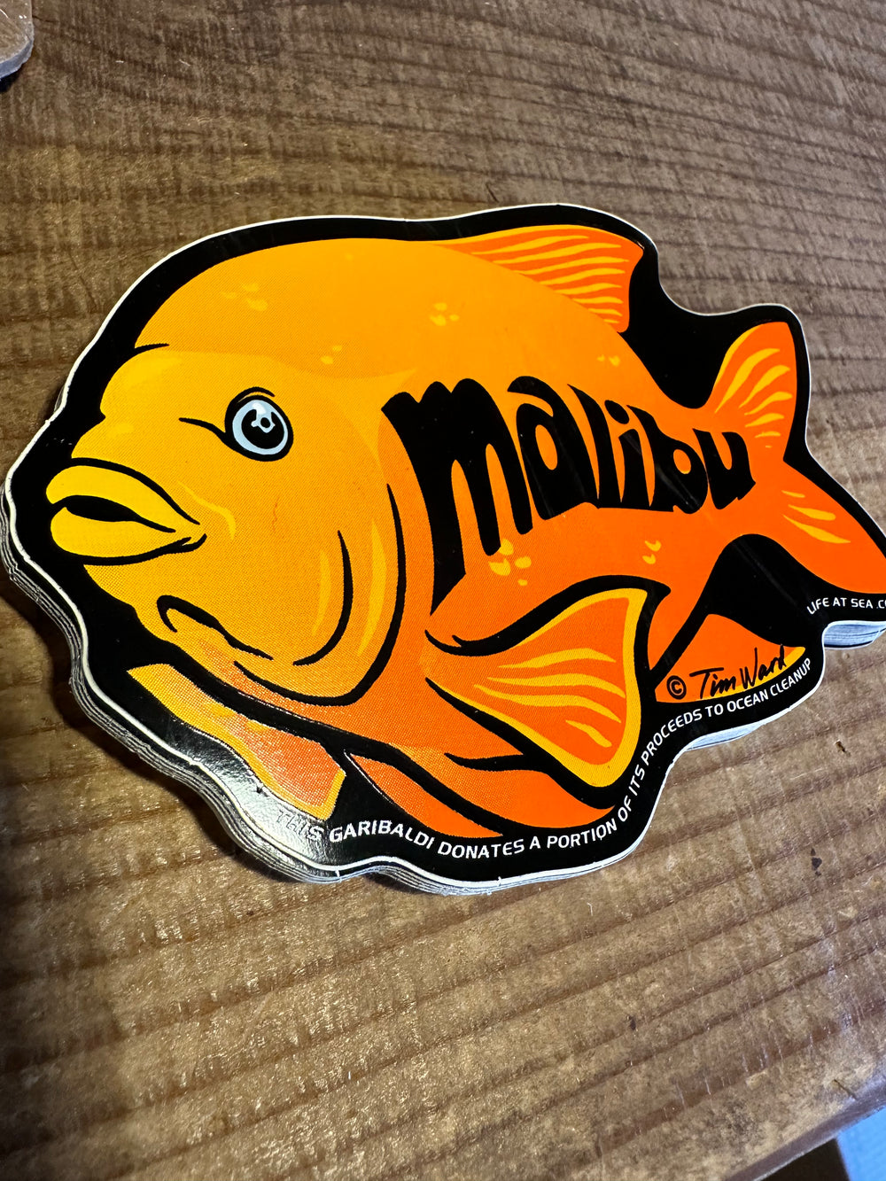 Tim Ward MALIBU Large  Stickers