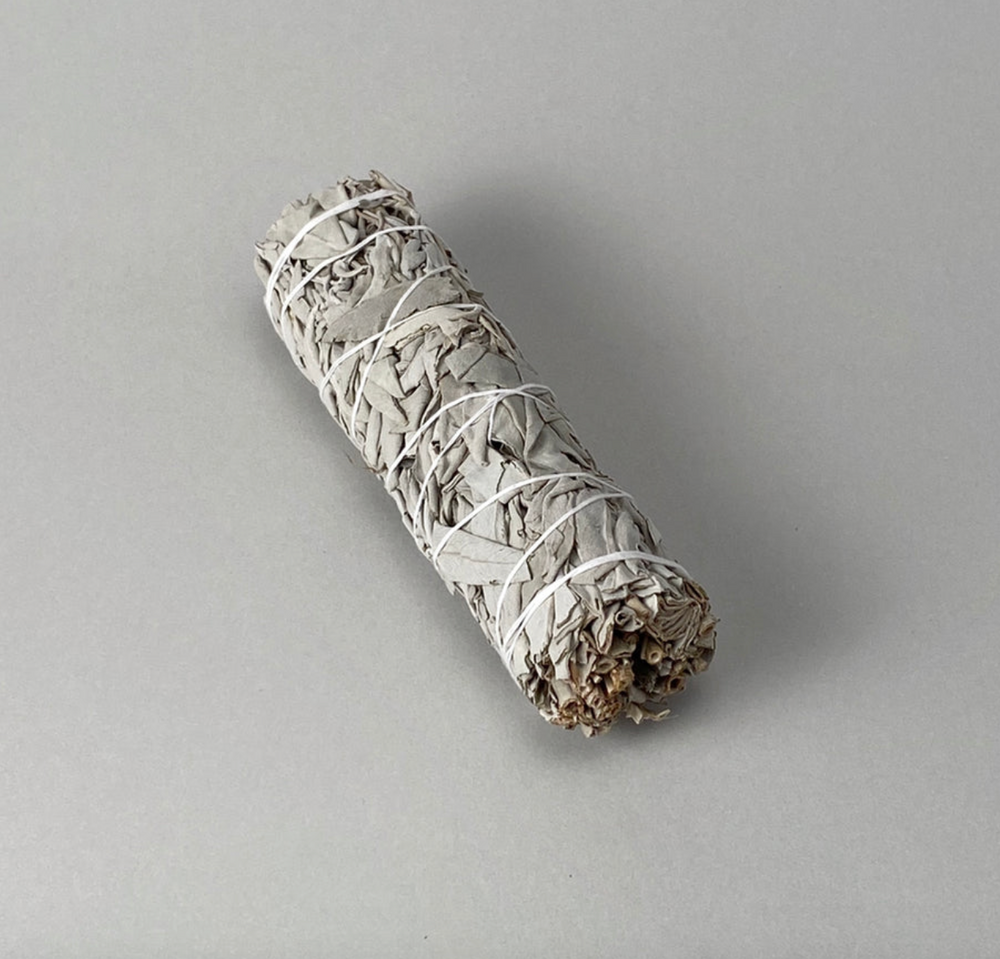 Wild White Sage