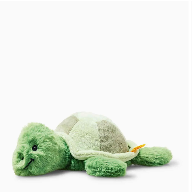 Tuggy Tortoise