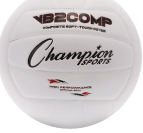 Composite Volleyball, White