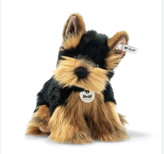 Herkules Yorkshire Terrier