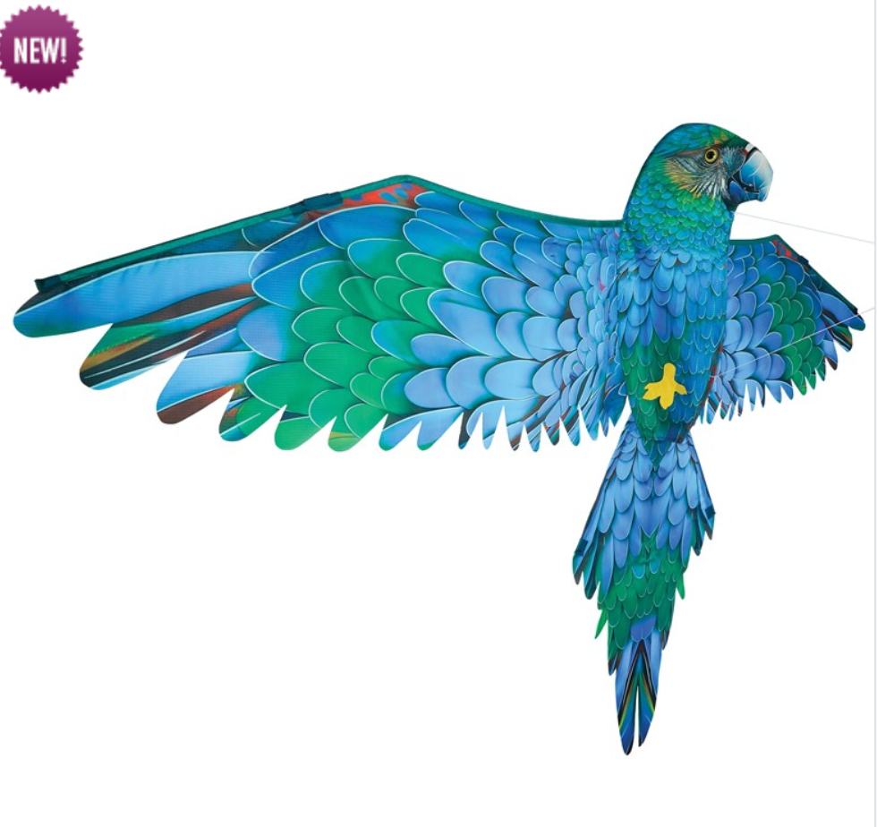 3D Blue Parrot Kite