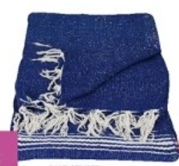 Woven Beach Blanket /Blue Striped