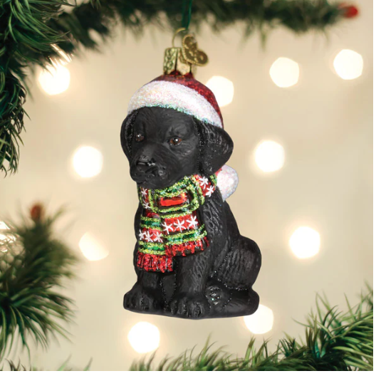 Holiday Black Labrador Puppy