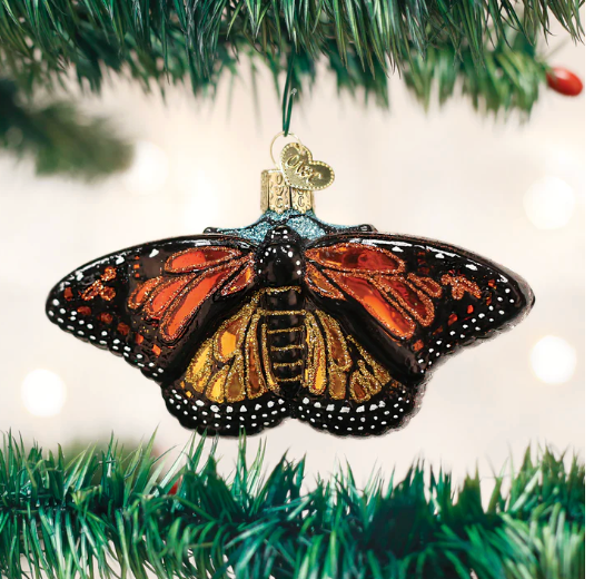 Monarch Butterfly
