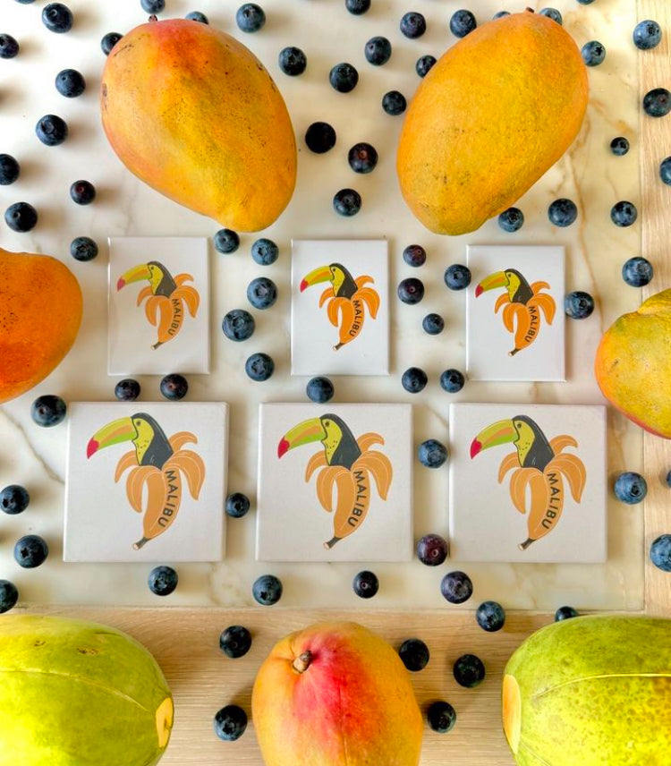 One Gun Coaster (Banana Toucan)