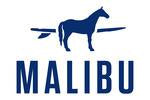 Horse with surfboard Malibu design