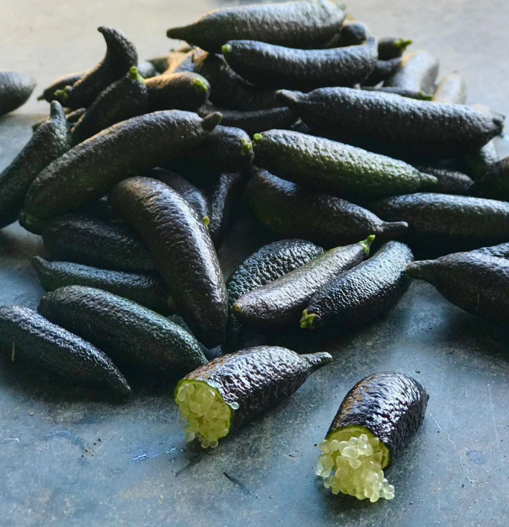 A bunch of finger limes picked from a biodynamic farm at One Gun Ranch. 