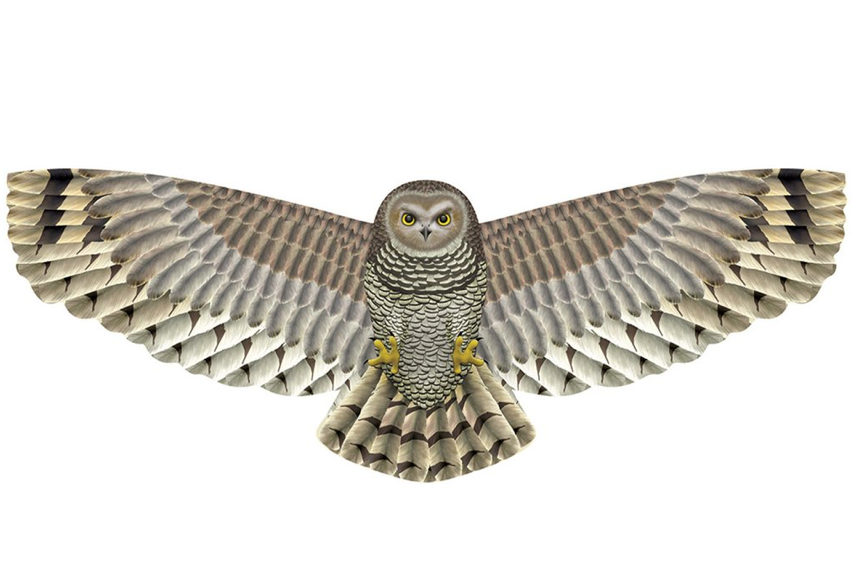 Owl Supersized Nylon Kite 67"