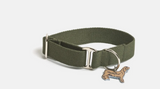 Lucky Dog Collar