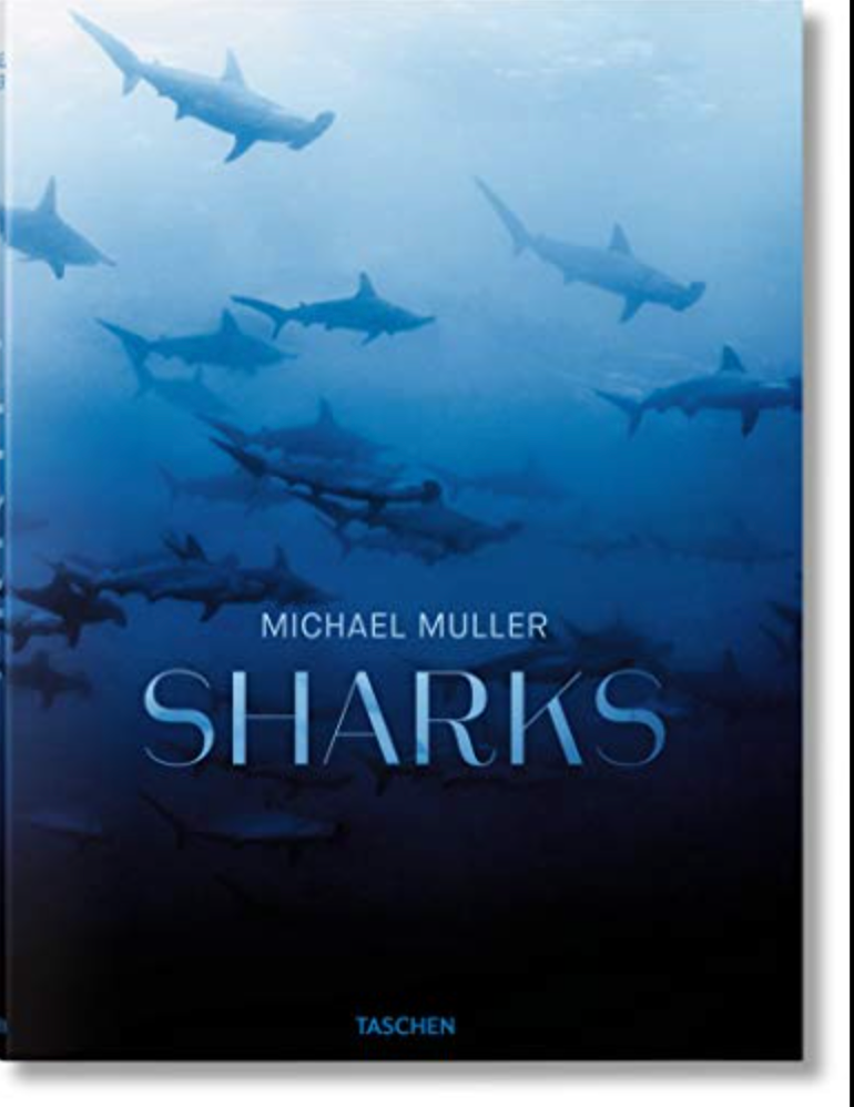 Michael Muller Sharks book