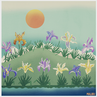 California Irises