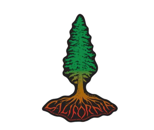 ティム・ウォード CALIFORNIA KEYCHAINS