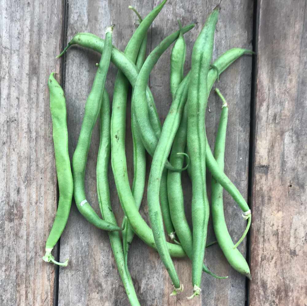 Max Vert Green Beans -lb