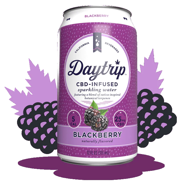 Daytrip Sparkling Water