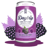 Daytrip Sparkling Water